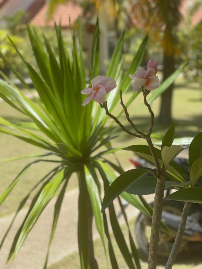 Paradis Villa A9, Koh Kho Khao Koh Kho Khao Island المظهر الخارجي الصورة